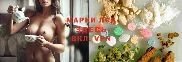 шишки Пролетарск