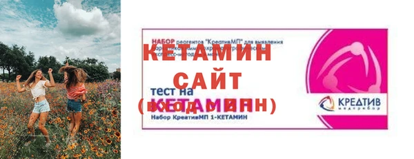 стаф Губаха