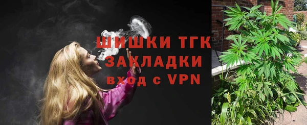 шишки Пролетарск