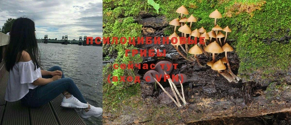 шишки Пролетарск