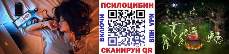 купить   Аткарск  Галлюциногенные грибы Psilocybine cubensis 